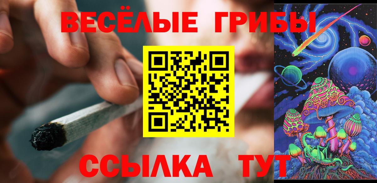 Псилоцибиновые грибы Cubensis  Галлюциногенные грибы Psilocybine cubensis  Жигулёвск  Вход с VPN 